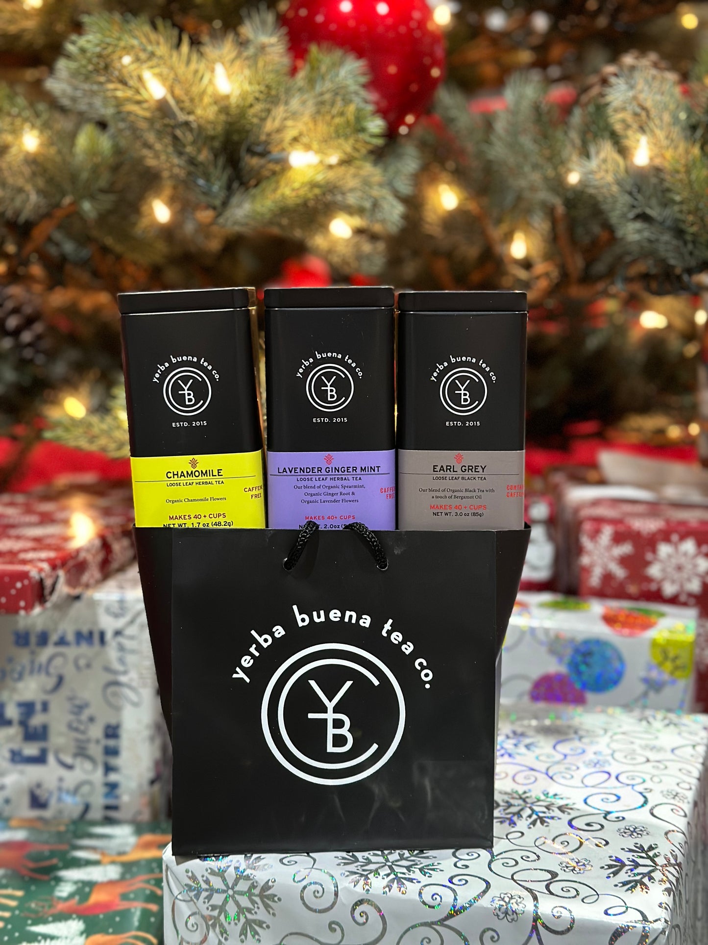 Holiday Gift Bag