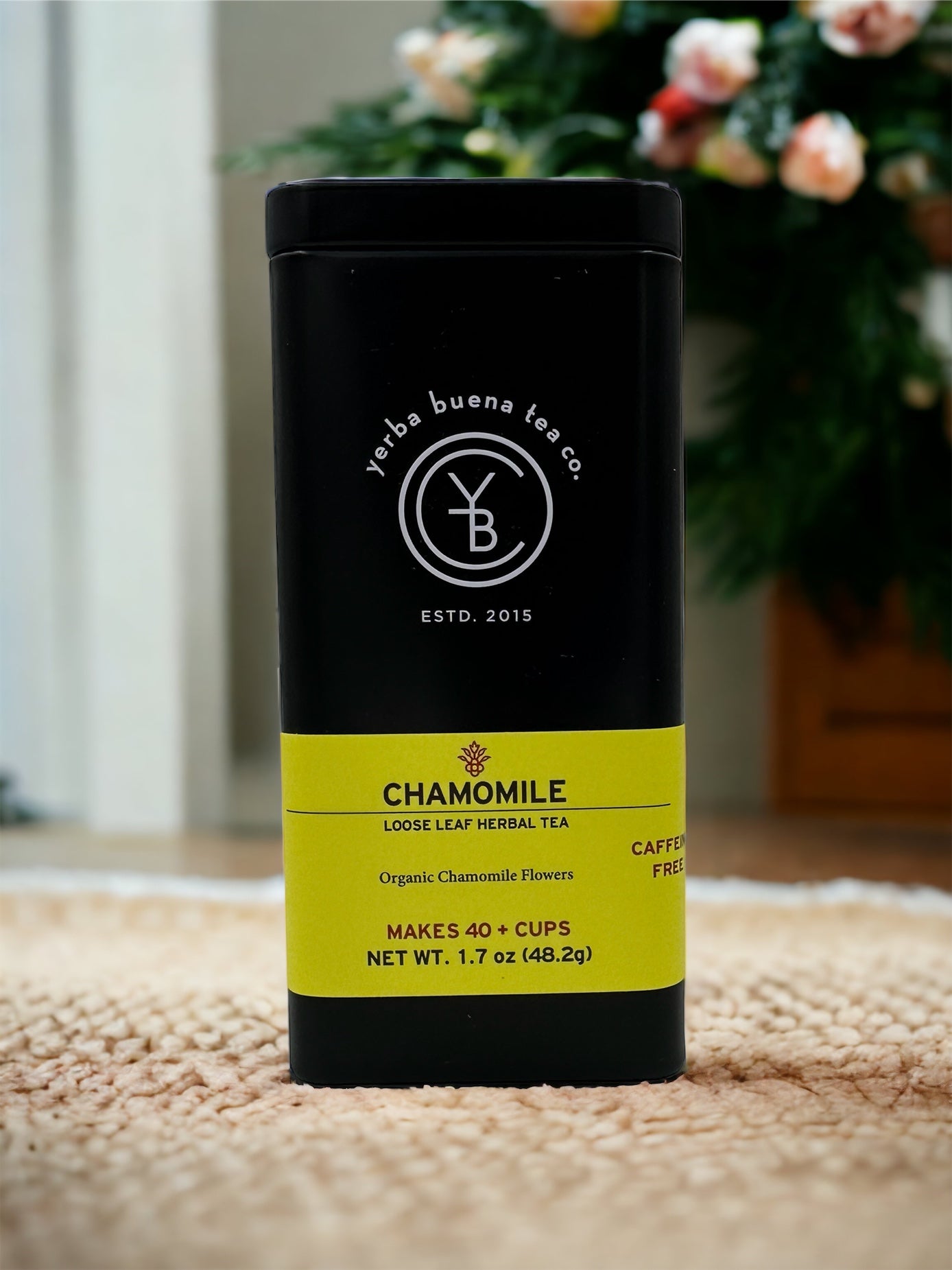 Holiday Gift Bag