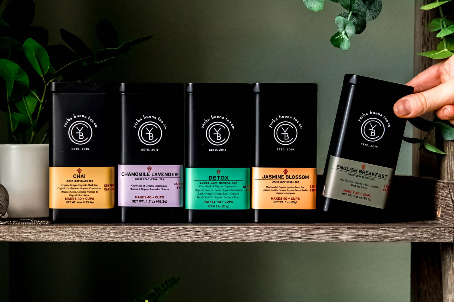 Best seller starter kit featuring four black tea tins,Chai, Chamomile Lavender, Detox, and Jasmine Blossom,with colorful labels lined on rustic wood, one tin held by hand, surrounded by fresh green foliage, by Yerba Buena Tea Company.