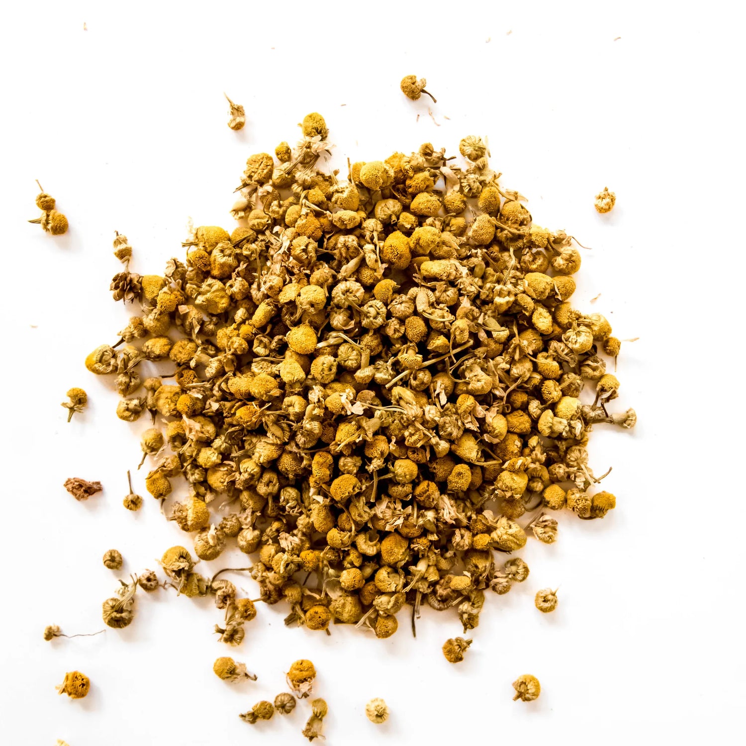 Dried chamomile flowers scattered loosely on white background showing golden blooms and stems, by Yerba Buena Tea Company.