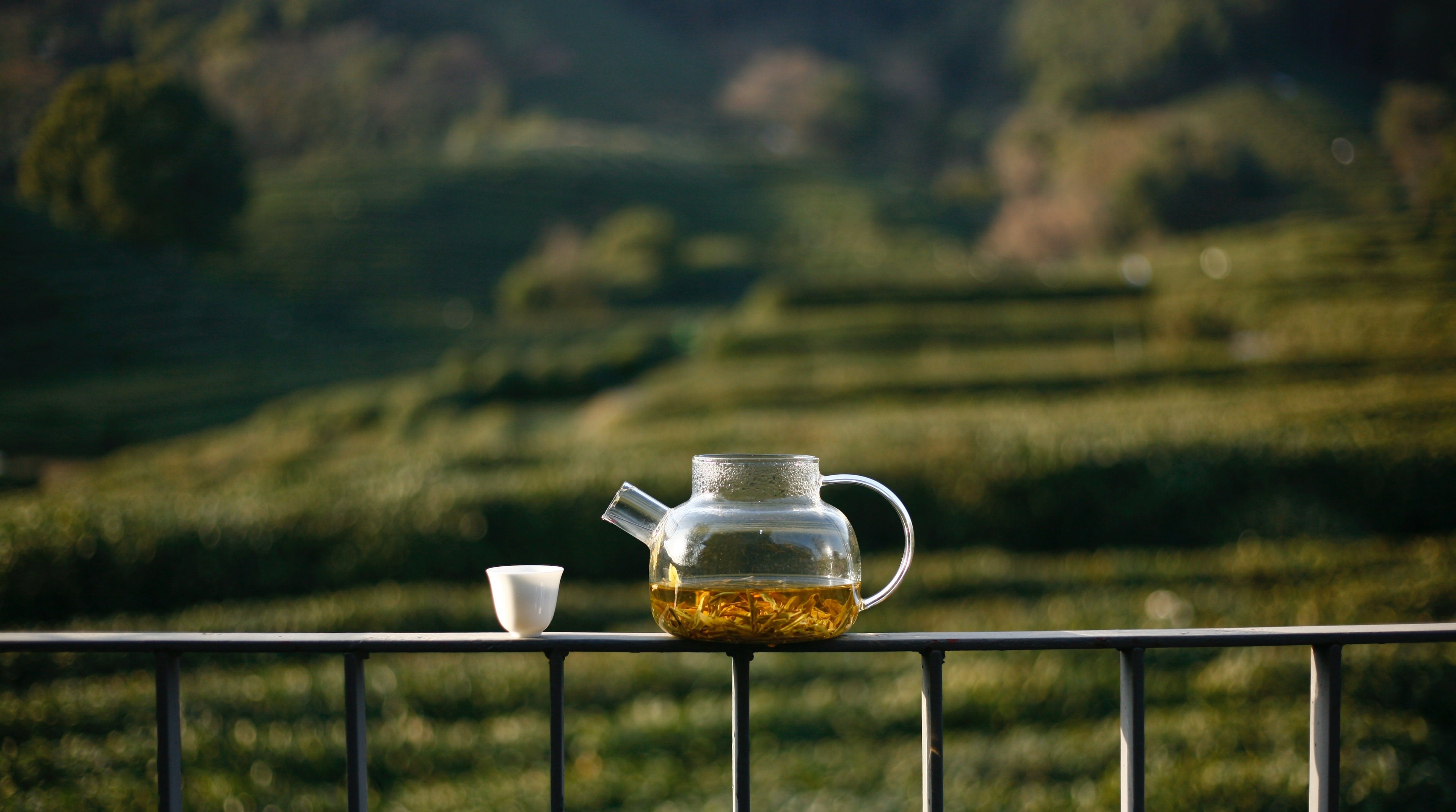 Tea cup and pot with scenic background of a tea farm 