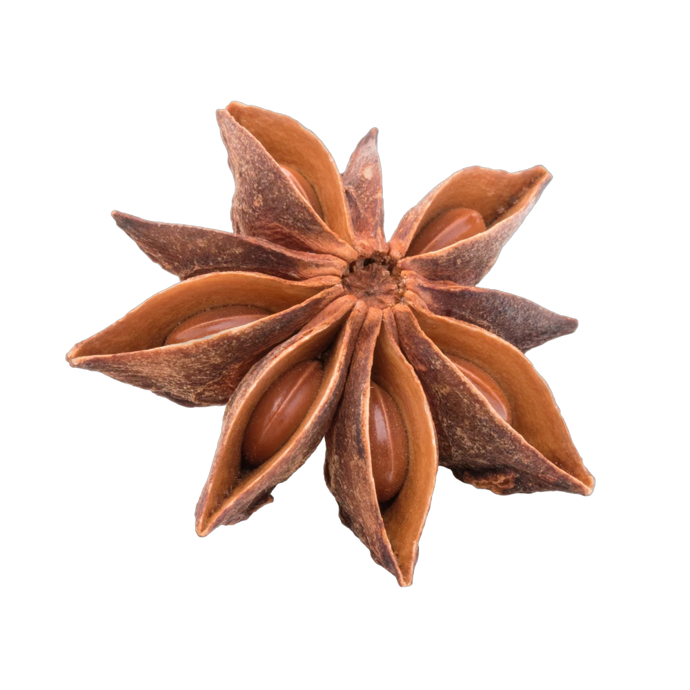 Whole star anise pods, striking licorice-flavored spice for chai tea blends, Yerba Buena Tea Co.