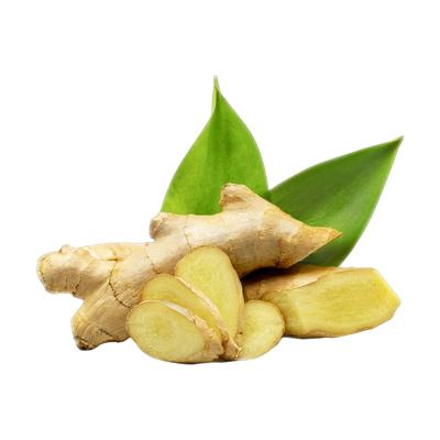 Fresh ginger root, fiery warming rhizome for chai and digestive tea blends, Yerba Buena Tea Co.