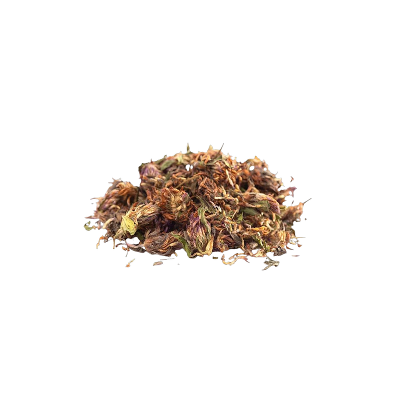 Dried red clover blossoms, traditional herb for wellness herbal tea blends, Yerba Buena Tea Co.