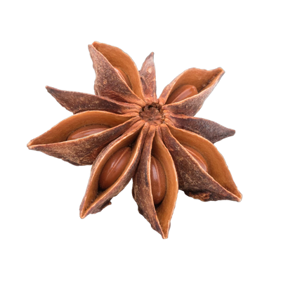 Whole star anise pods, striking licorice-flavored spice for chai tea blends, Yerba Buena Tea Co.