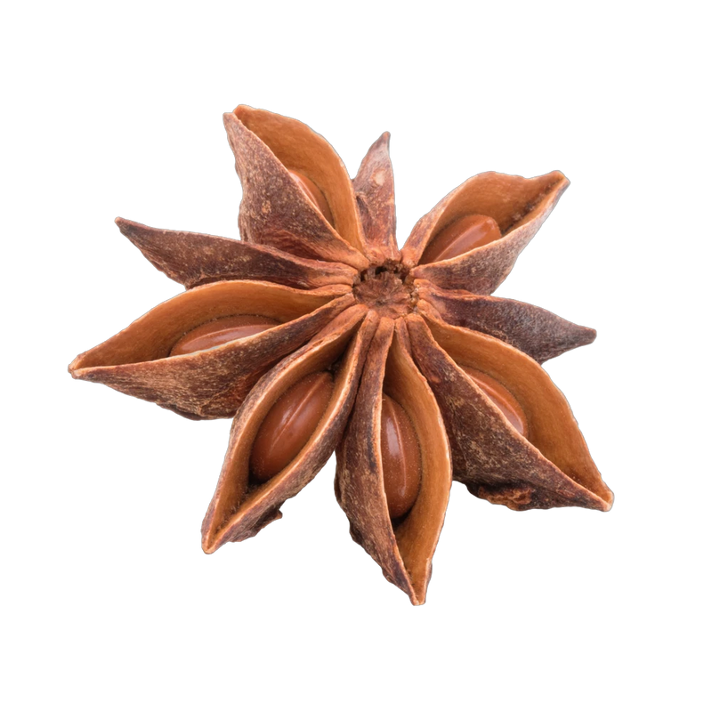 Whole star anise pods, striking licorice-flavored spice for chai tea blends, Yerba Buena Tea Co.