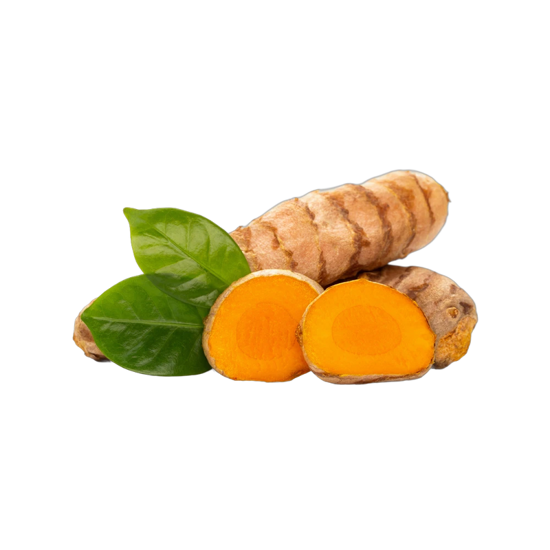 Fresh turmeric root, golden anti-inflammatory spice for wellness tea blends, Yerba Buena Tea Co.