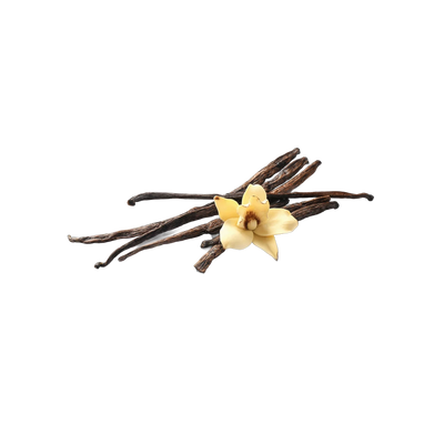 Dried vanilla beans, rich aromatic pods for naturally flavored dessert tea blends, Yerba Buena Tea Co.