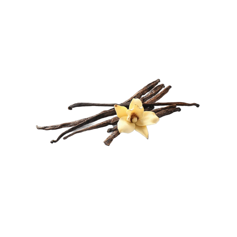 Dried vanilla beans, rich aromatic pods for naturally flavored dessert tea blends, Yerba Buena Tea Co.